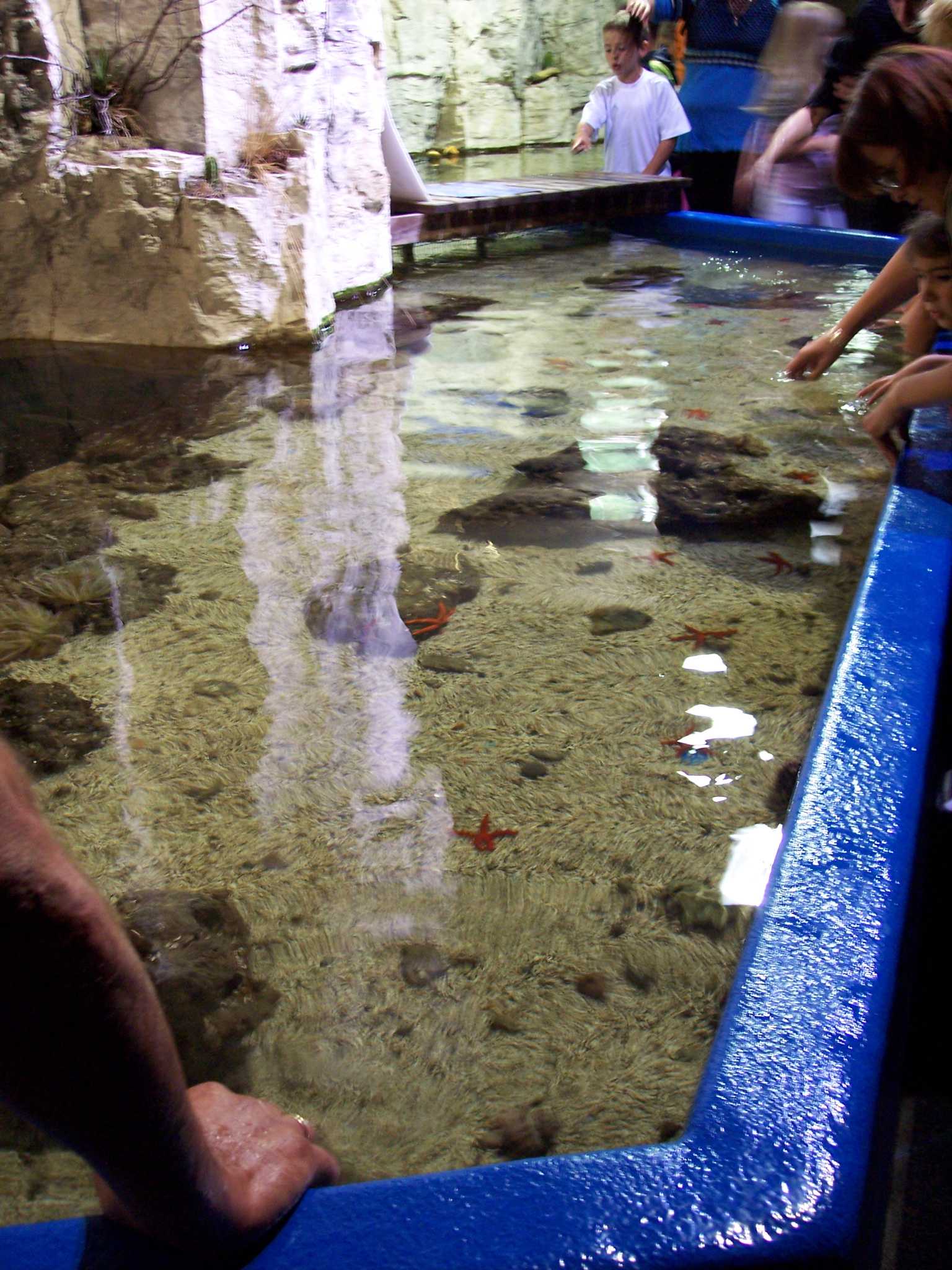 L'aquarium de Lyon...
