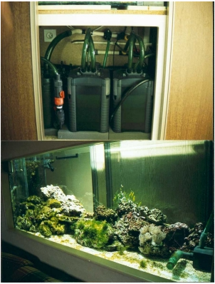 Dans quel ordre placer les masses filtrantes dans un aquarium