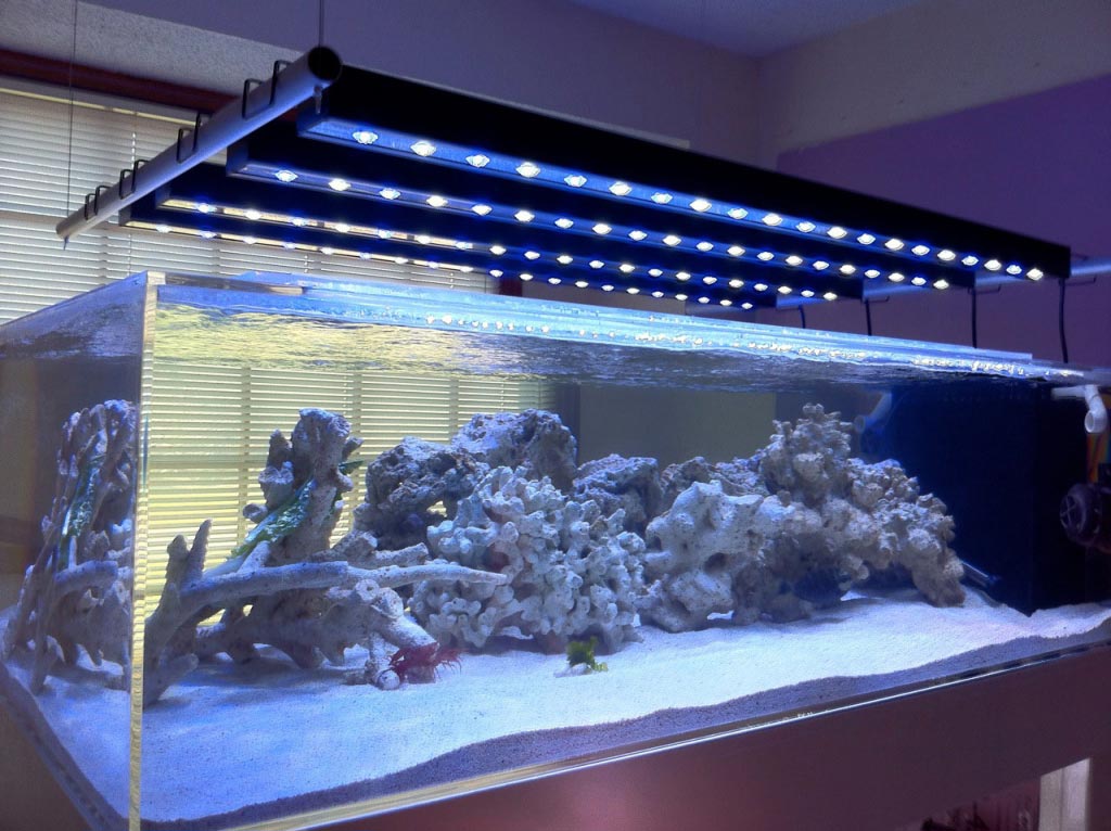 Eclairage LEDs aquarium marin 