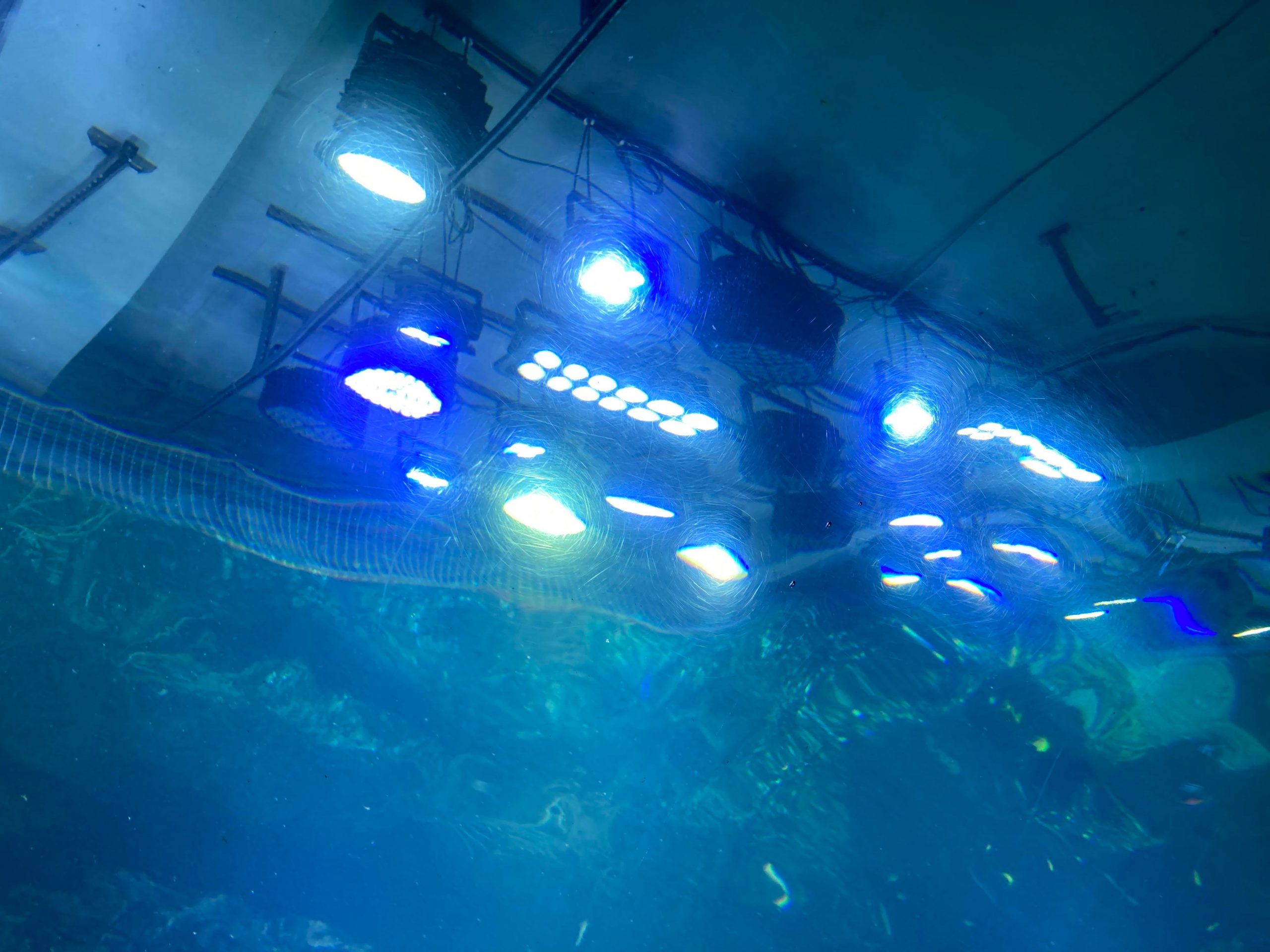 Eclairage LEDs aquarium marin 